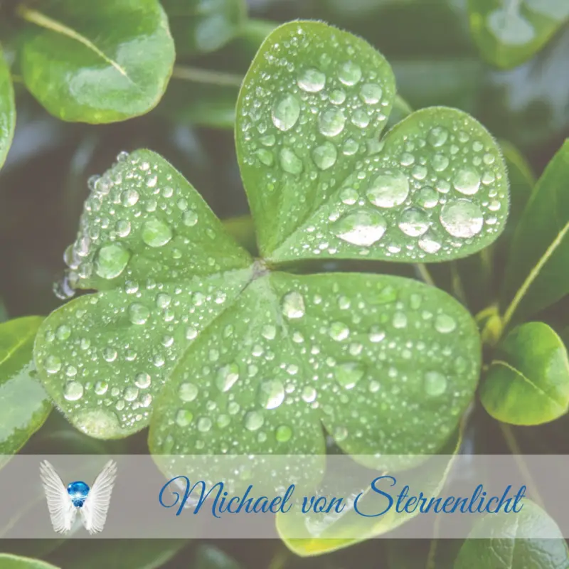 Kleeblatt-mit-Wassertropfen-michael-von-sternenlicht Kleeblatt-mit-Wassertropfen-michael-von-sternenlicht
