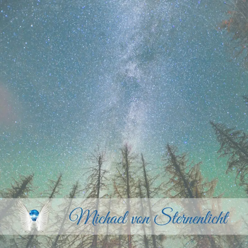 Wald mit sternenhimmel michael von sternenlicht Wald-mit-sternenhimmel-michael-von-sternenlicht