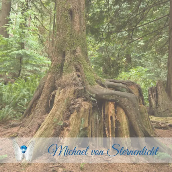 Alter Baum michael von sternenlicht Baum michael von sternenlicht